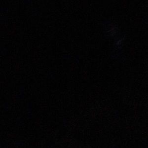 Meet your Posher, Alva